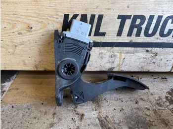 الكابينة والداخلية MAN