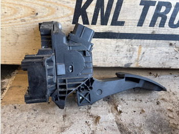 الكابينة والداخلية MAN