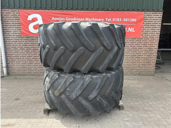 الإطارات والجنوط