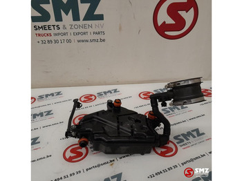 : صورة رأس الصفحة