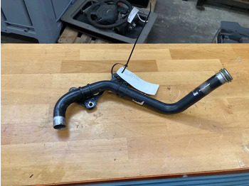 : صورة رأس الصفحة