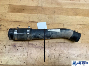 : صورة رأس الصفحة