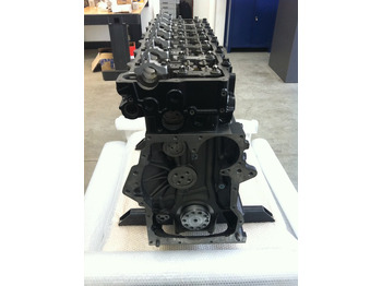 : صورة رأس الصفحة