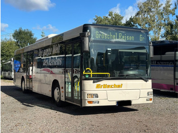 النقل الحضري MAN Lion's City A20