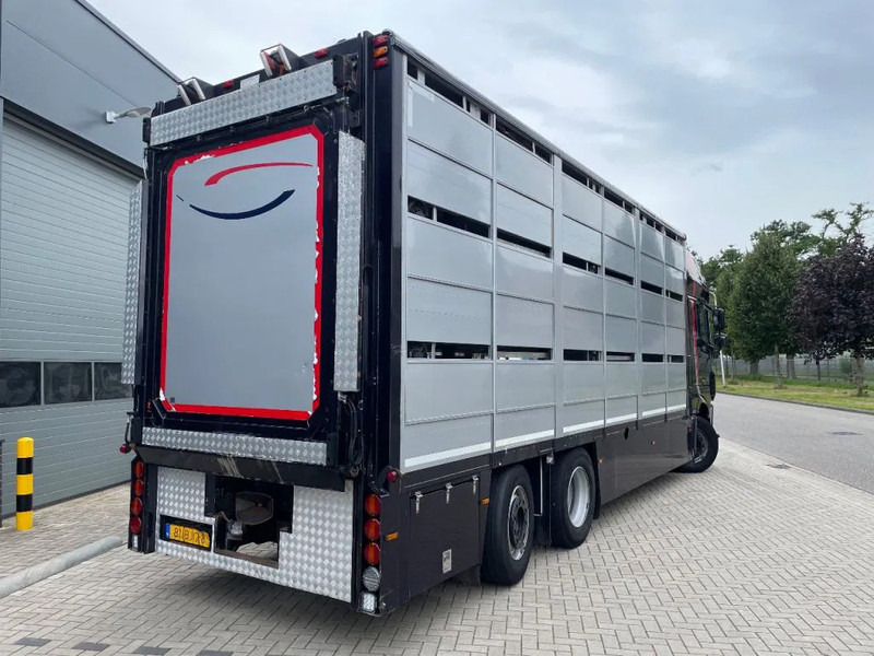 شاحنة نقل المواشي شاحنة DAF XF 460 2017 berdex 3 lagen varkens: صور 8