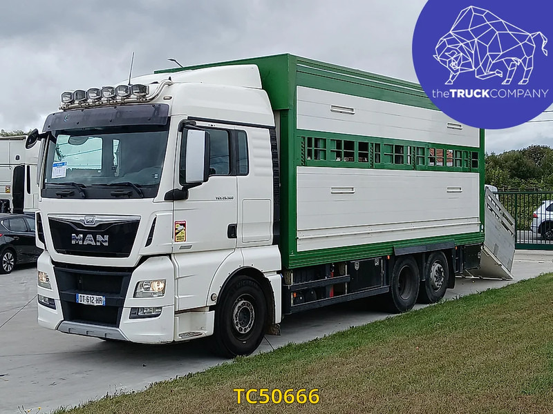 MAN TGX 460 - شاحنة نقل المواشي شاحنة: صور 1 MAN TGX 460 - شاحنة نقل المواشي شاحنة: صور 1