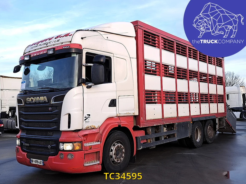 Scania R 500 - شاحنة نقل المواشي شاحنة: صور 1 Scania R 500 - شاحنة نقل المواشي شاحنة: صور 1