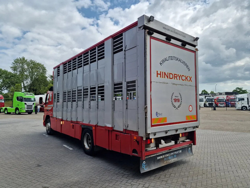 Volvo FM 250 4x- Livestock 2 deck - Lifting floors - Loadlift - Manual gearbox - شاحنة نقل المواشي شاحنة: صور 5 Volvo FM 250 4x- Livestock 2 deck - Lifting floors - Loadlift - Manual gearbox - شاحنة نقل المواشي شاحنة: صور 5