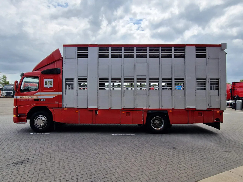 Volvo FM 250 4x- Livestock 2 deck - Lifting floors - Loadlift - Manual gearbox - شاحنة نقل المواشي شاحنة: صور 4 Volvo FM 250 4x- Livestock 2 deck - Lifting floors - Loadlift - Manual gearbox - شاحنة نقل المواشي شاحنة: صور 4