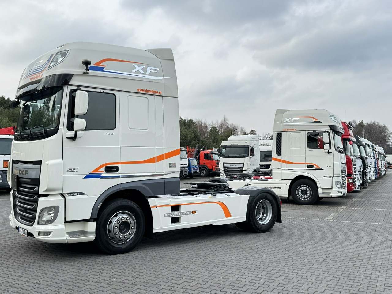 DAF XF 460 SSC E6 Standard Klima Postojowa - شاحنة جرار: صور 5 DAF XF 460 SSC E6 Standard Klima Postojowa - شاحنة جرار: صور 5