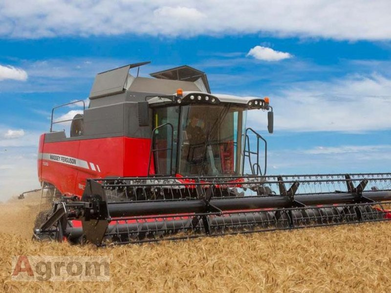 Massey Ferguson 7360 Beta ParaLevel - حصادة شاملة: صور 1 Massey Ferguson 7360 Beta ParaLevel - حصادة شاملة: صور 1