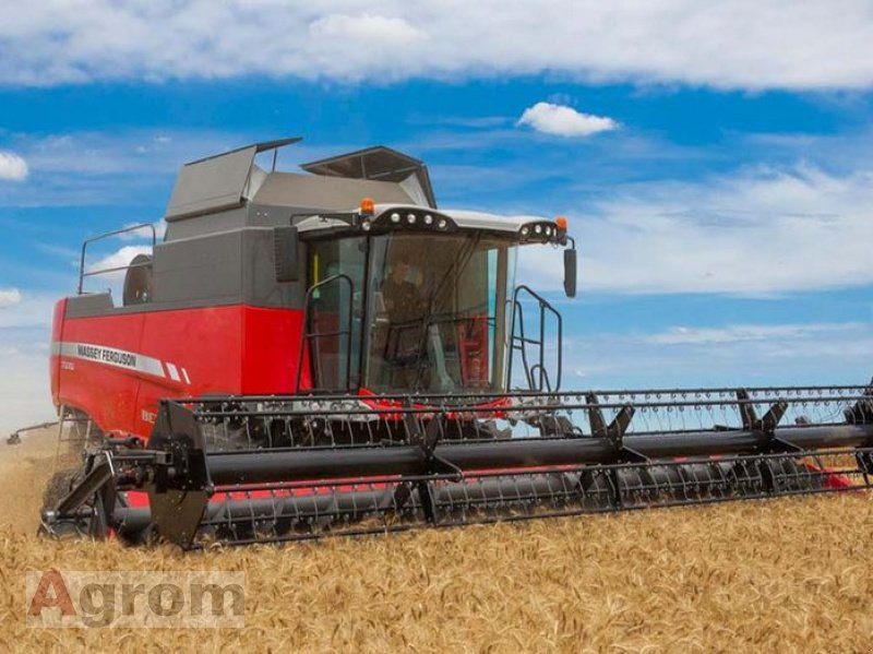 Massey Ferguson 7360 Beta - حصادة شاملة: صور 2 Massey Ferguson 7360 Beta - حصادة شاملة: صور 2