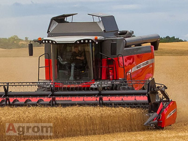 Massey Ferguson 7360 Beta - حصادة شاملة: صور 1 Massey Ferguson 7360 Beta - حصادة شاملة: صور 1