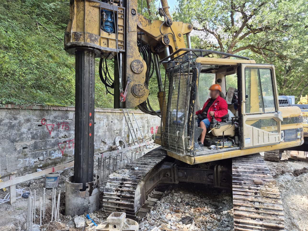 IMT AF80 - سائق كومة: صور 4 IMT AF80 - سائق كومة: صور 4