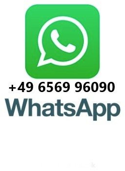 MAN TGS 18.360 4x4 Winterdienst Fahrgestell - الشاسيه شاحنة: صور 2 MAN TGS 18.360 4x4 Winterdienst Fahrgestell - الشاسيه شاحنة: صور 2