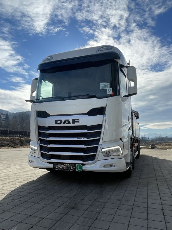 شاحنات مسطحة, شاحنة كرين جديد DAF XF 480 FAN Kranwagen: صور 10