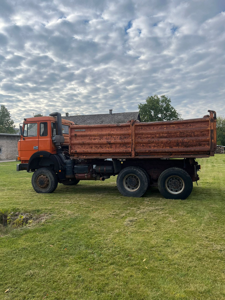 IVECO Magirus 260-30 - قلابات: صور 4 IVECO Magirus 260-30 - قلابات: صور 4