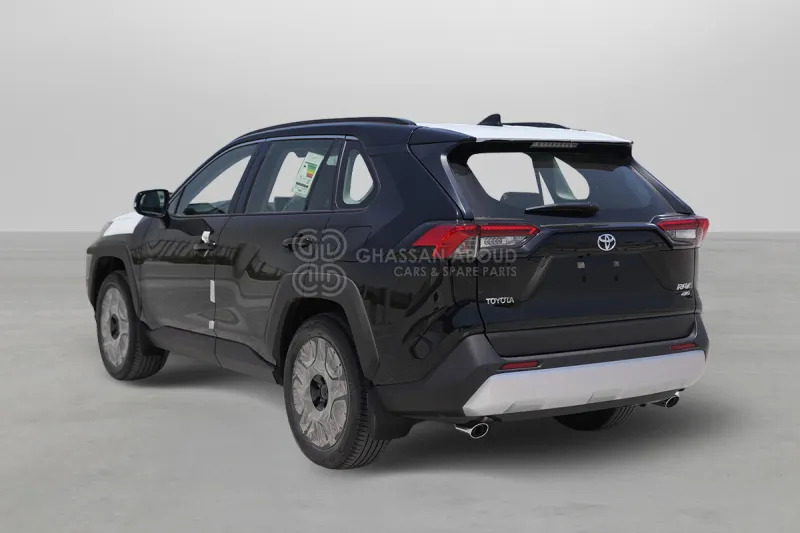 Toyota RAV4 AWD - سيارة دفع رباعي: صور 4 Toyota RAV4 AWD - سيارة دفع رباعي: صور 4