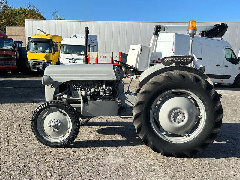 Diversen FERGUSON tractor - جرار: صور 1 Diversen FERGUSON tractor - جرار: صور 1
