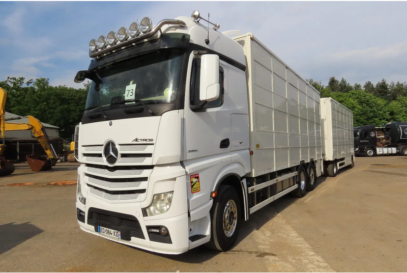 Mercedes-Benz Actros 2551 BERDEX 3 decks, All options + Berdex 12/ 2007 - شاحنة نقل المواشي شاحنة: صور 3 Mercedes-Benz Actros 2551 BERDEX 3 decks, All options + Berdex 12/ 2007 - شاحنة نقل المواشي شاحنة: صور 3