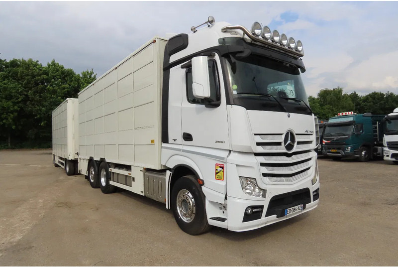 Mercedes-Benz Actros 2551 BERDEX 3 decks, All options + Berdex 12/ 2007 - شاحنة نقل المواشي شاحنة: صور 1 Mercedes-Benz Actros 2551 BERDEX 3 decks, All options + Berdex 12/ 2007 - شاحنة نقل المواشي شاحنة: صور 1