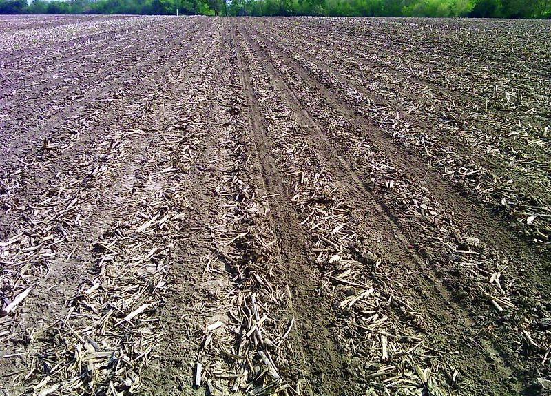 حقن فى التربة جديد Yetter Düngerschar - Flüssigdünger: صور 18