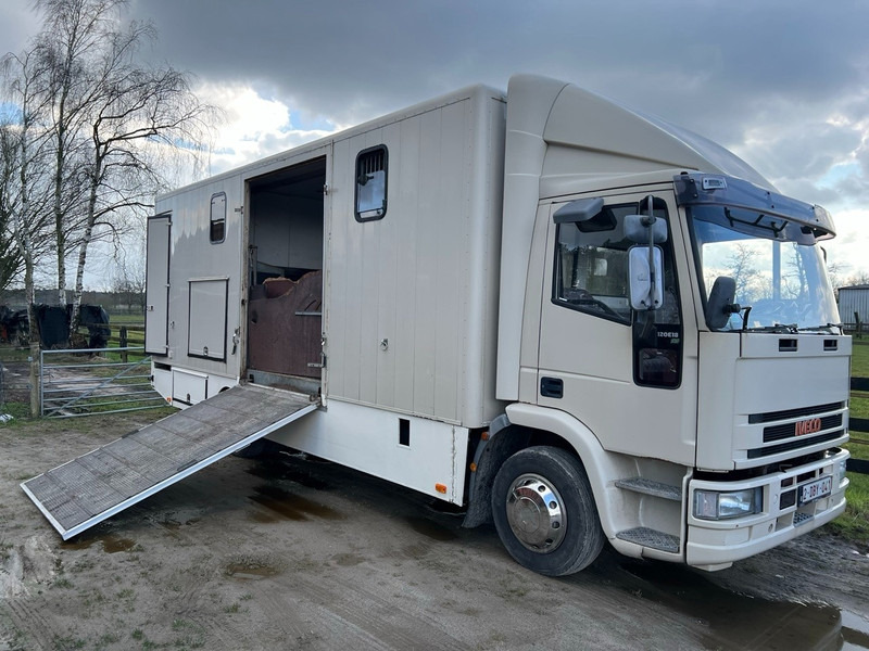Iveco 120E18 - 3 HORSES - MANUAL - STEEL SUSPENSION - شاحنة نقل خيل: صور 1 Iveco 120E18 - 3 HORSES - MANUAL - STEEL SUSPENSION - شاحنة نقل خيل: صور 1