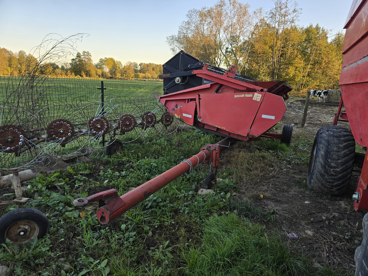 MASSEY FERGUSON 38 - حصادة شاملة: صور 2 MASSEY FERGUSON 38 - حصادة شاملة: صور 2