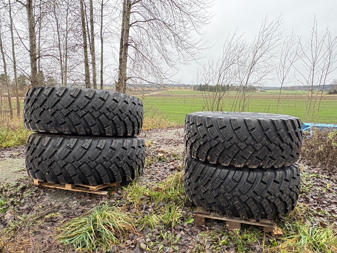 BKT 540/65R28 & 650/65R38 - الإطارات - الآلات والماكينات الزراعية: صور 1 BKT 540/65R28 & 650/65R38 - الإطارات - الآلات والماكينات الزراعية: صور 1