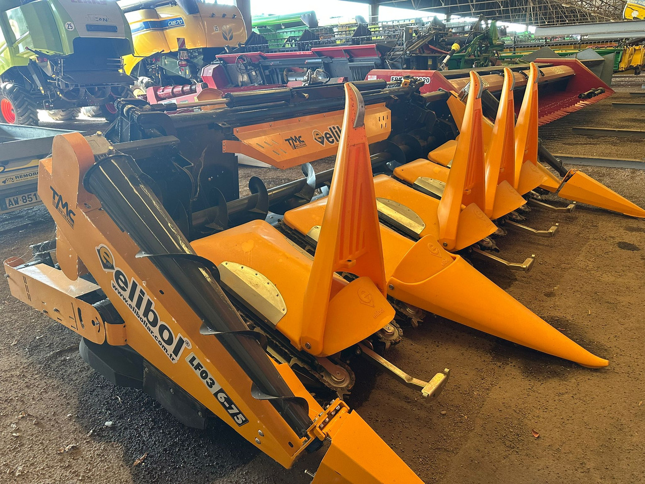 ELİBOL LF03 / 6-75 6 ROWS FOLDABLE CORN HEADER - حصادات الذرة: صور 2 ELİBOL LF03 / 6-75 6 ROWS FOLDABLE CORN HEADER - حصادات الذرة: صور 2