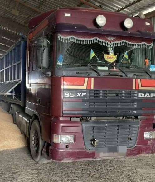 DAF XF 95 - شاحنة جرار: صور 5 DAF XF 95 - شاحنة جرار: صور 5