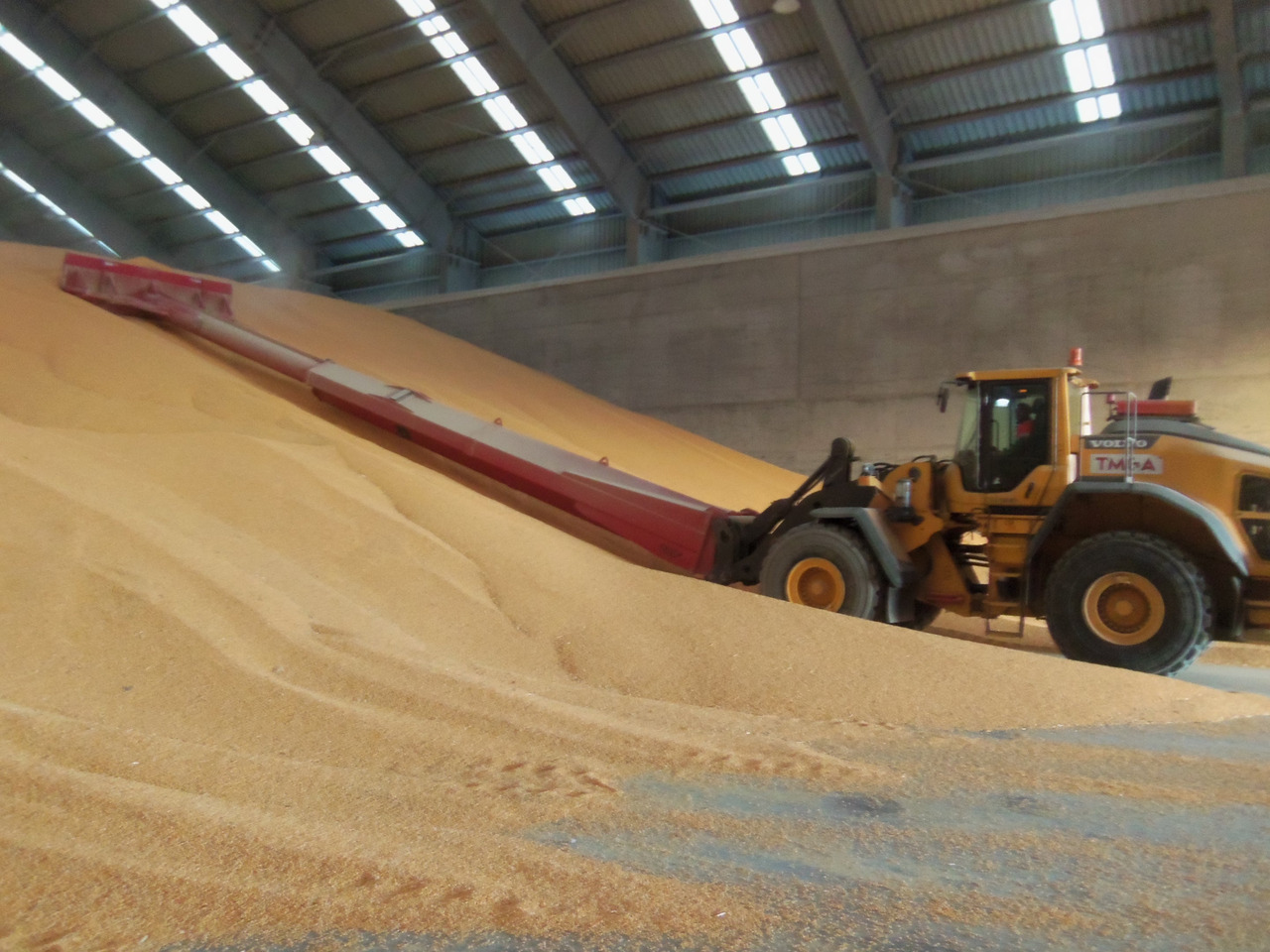 GRAIN PUSHER - NG ATTACHMENTS - الرمال مفرشة - معدات آلة حصاد: صور 5 GRAIN PUSHER - NG ATTACHMENTS - الرمال مفرشة - معدات آلة حصاد: صور 5