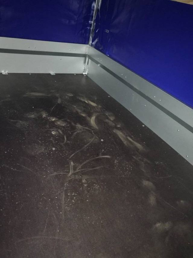 Humbaur Steely mit Hochplane 140 cm, 750 kg 2050x1095x300mm - مقطورات السيارات: صور 4 Humbaur Steely mit Hochplane 140 cm, 750 kg 2050x1095x300mm - مقطورات السيارات: صور 4