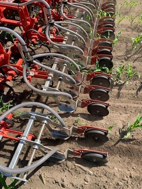 Gaspardo ***CropSeed*** Frøudstyr til radrenser - الات ومعدات معاملات مابعد الحصاد: صور 3 Gaspardo ***CropSeed*** Frøudstyr til radrenser - الات ومعدات معاملات مابعد الحصاد: صور 3