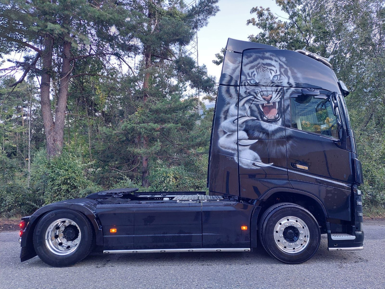 تأجير  Volvo FH16-650 4x2, Euro 6, VEB, airbrush Volvo FH16-650 4x2, Euro 6, VEB, airbrush: صور 8