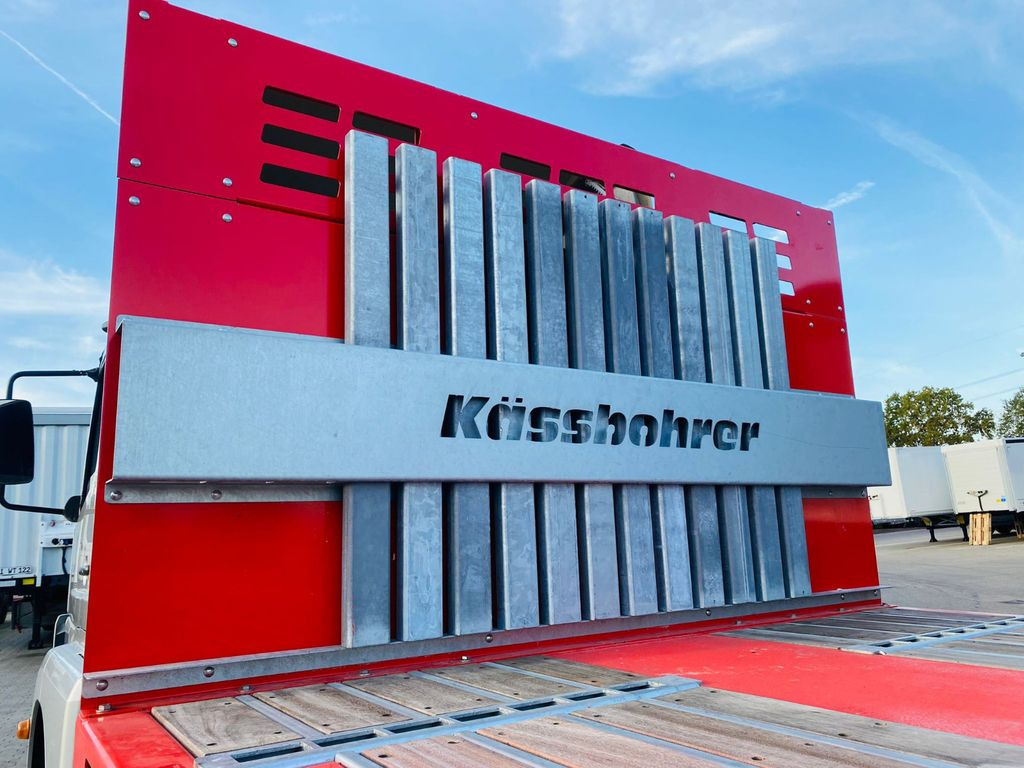 نصف مقطورة مسطحة جديد Kässbohrer SPS Maxima Schwerlast Plattform Auflieger: صور 7 نصف مقطورة مسطحة جديد Kässbohrer SPS Maxima Schwerlast Plattform Auflieger: صور 7