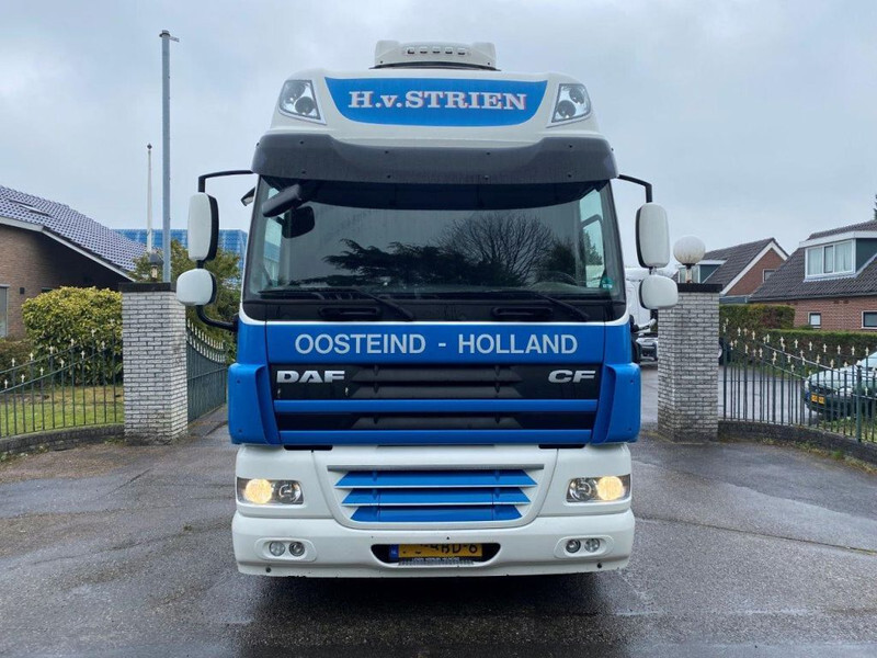DAF CF 85.460 CF 460 HOLLAND TRUCK - شاحنة جرار: صور 2 DAF CF 85.460 CF 460 HOLLAND TRUCK - شاحنة جرار: صور 2