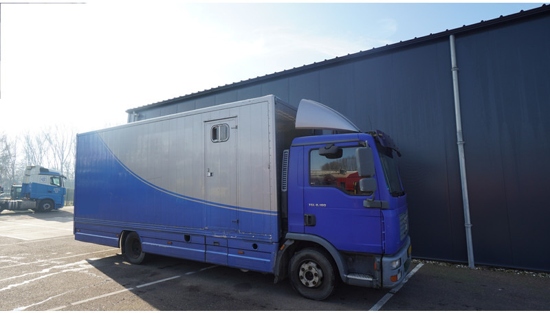 MAN TGL 8.180 HORSE TRANPORT 515.000KM - شاحنة نقل خيل: صور 4 MAN TGL 8.180 HORSE TRANPORT 515.000KM - شاحنة نقل خيل: صور 4