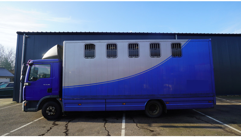 MAN TGL 8.180 HORSE TRANPORT 515.000KM - شاحنة نقل خيل: صور 1 MAN TGL 8.180 HORSE TRANPORT 515.000KM - شاحنة نقل خيل: صور 1