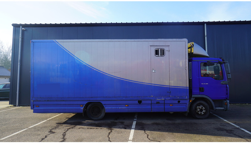 MAN TGL 8.180 HORSE TRANPORT 515.000KM - شاحنة نقل خيل: صور 2 MAN TGL 8.180 HORSE TRANPORT 515.000KM - شاحنة نقل خيل: صور 2