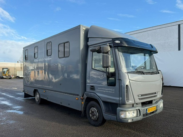 شاحنة نقل المواشي شاحنة لنقل الحيوانات IVECO 75E: صور 9