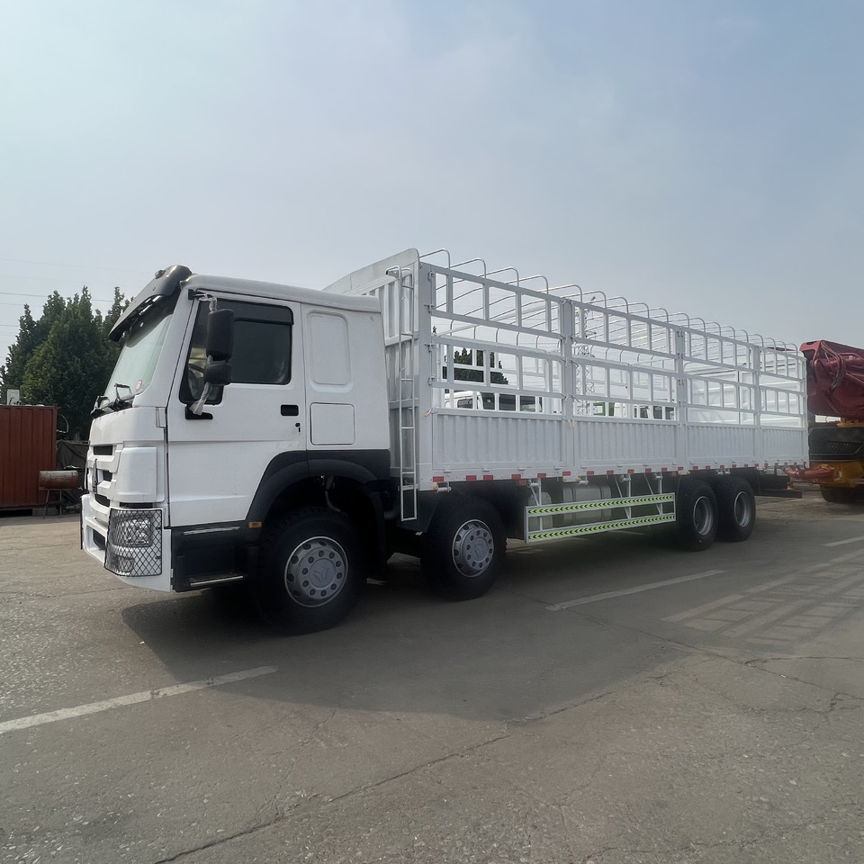Sinotruk HOWO - شاحنات مسطحة: صور 1 Sinotruk HOWO - شاحنات مسطحة: صور 1