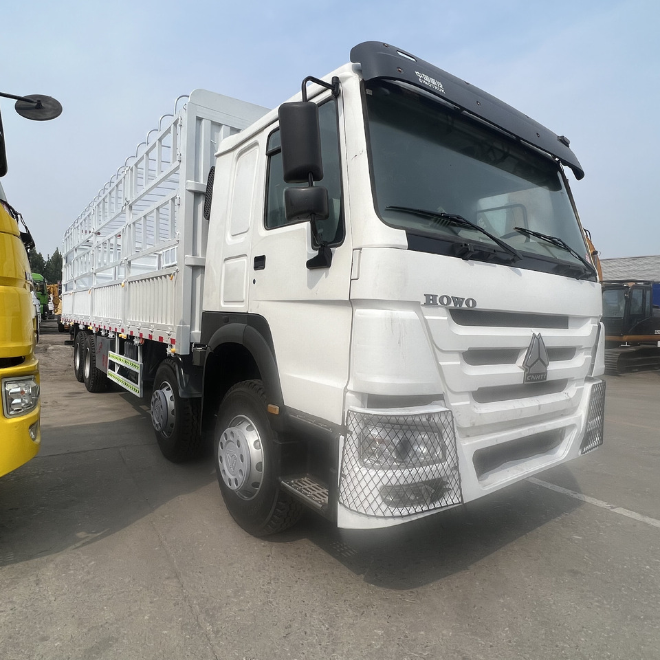Sinotruk HOWO - شاحنات مسطحة: صور 4 Sinotruk HOWO - شاحنات مسطحة: صور 4