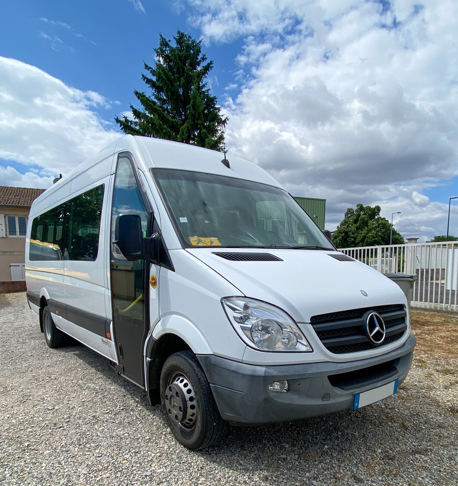 MERCEDES SPRINTER 513 - صغيرة, ميكروباص: صور 1 MERCEDES SPRINTER 513 - صغيرة, ميكروباص: صور 1