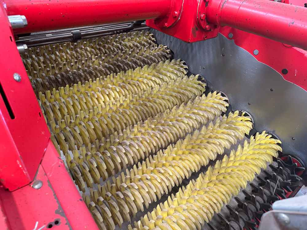 Grimme CS-150 RotaPower - حصادة البطاطس: صور 4 Grimme CS-150 RotaPower - حصادة البطاطس: صور 4