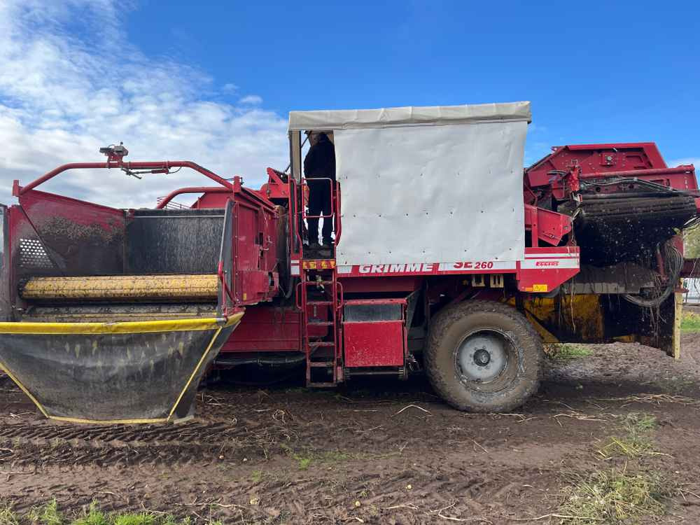 Grimme SE-260-UB - آلة حصاد: صور 5 Grimme SE-260-UB - آلة حصاد: صور 5