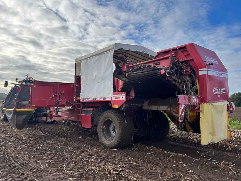 Grimme SE-260-UB - آلة حصاد: صور 4 Grimme SE-260-UB - آلة حصاد: صور 4