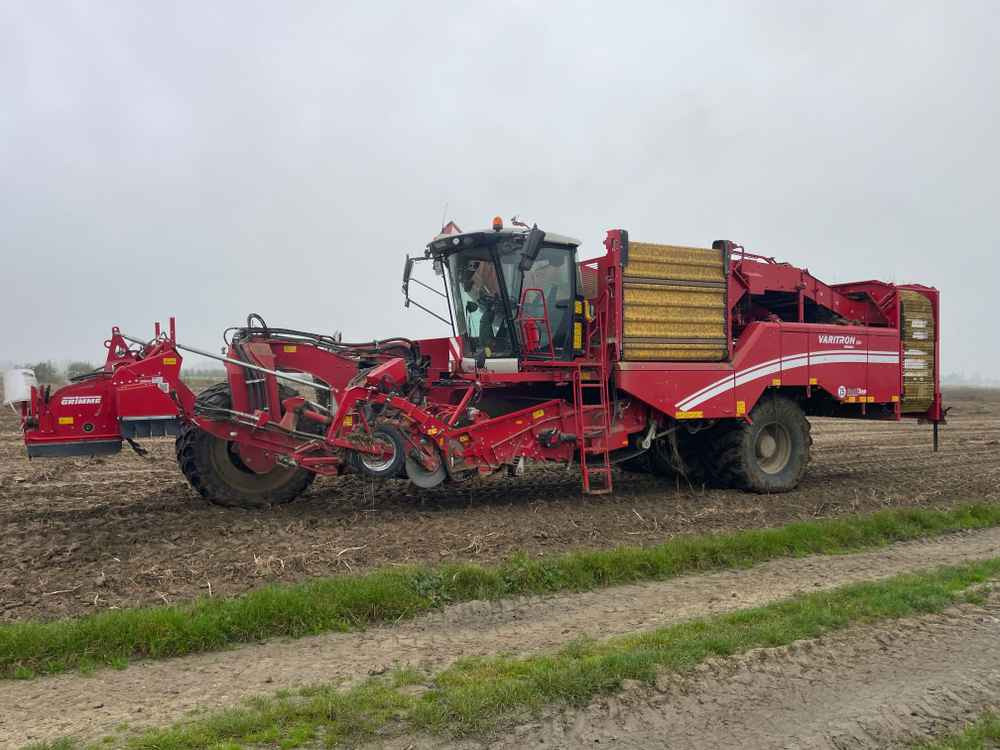 Grimme VARITRON 270 RS VARIO MULTISEP - آلة حصاد: صور 1 Grimme VARITRON 270 RS VARIO MULTISEP - آلة حصاد: صور 1