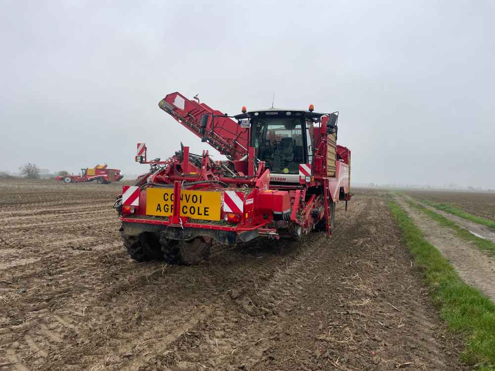 Grimme VARITRON 270 RS VARIO MULTISEP - آلة حصاد: صور 2 Grimme VARITRON 270 RS VARIO MULTISEP - آلة حصاد: صور 2
