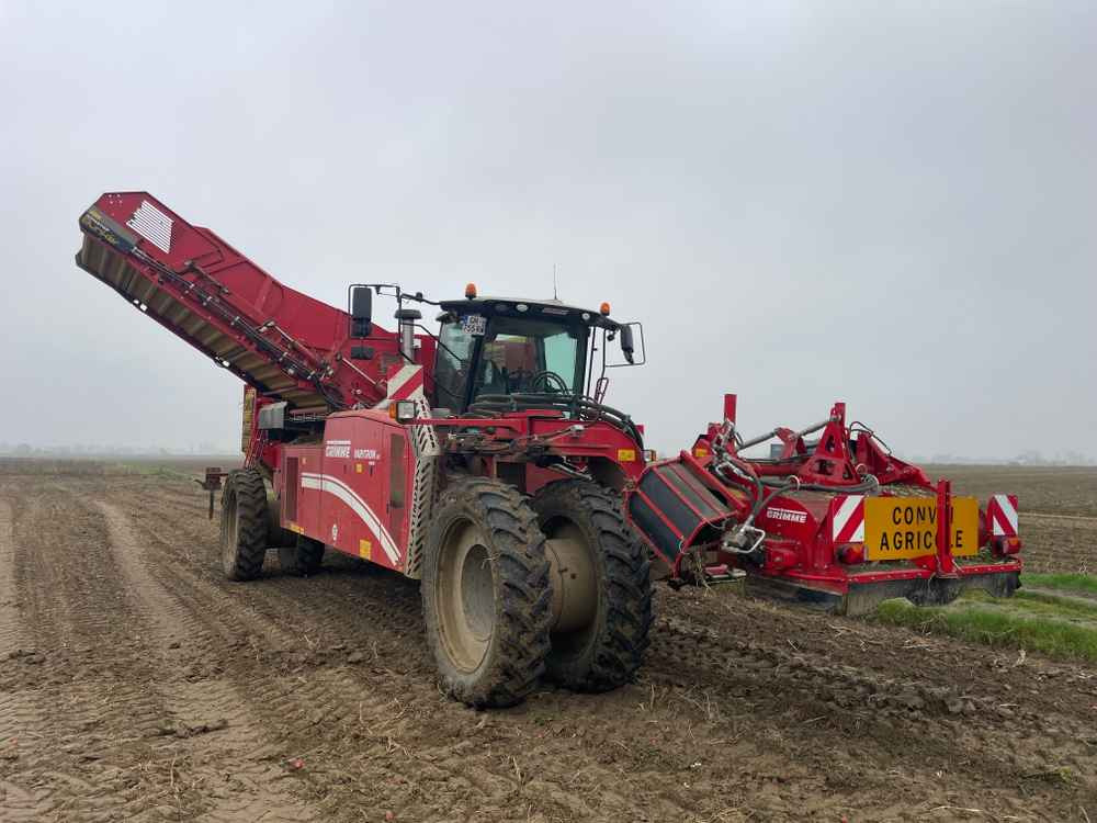 Grimme VARITRON 270 RS VARIO MULTISEP - آلة حصاد: صور 3 Grimme VARITRON 270 RS VARIO MULTISEP - آلة حصاد: صور 3